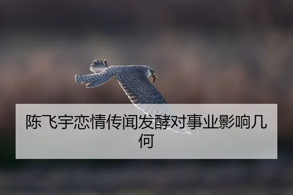 chen-fei-yu-lian-qing-chuan-wen-fa-jiao-dui-shi-ye-ying-xiang-ji-he-2-820.jpg